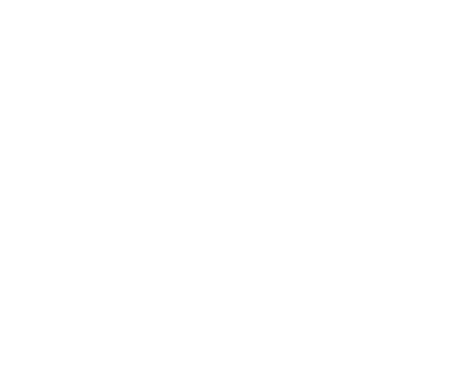 HOLLYS DINNER