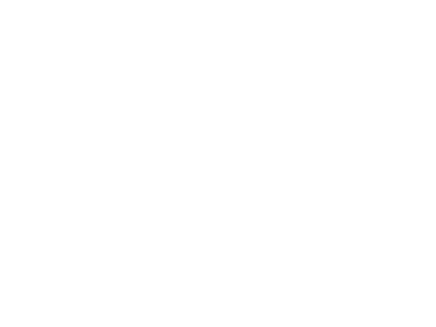 CONFIDENTIEL